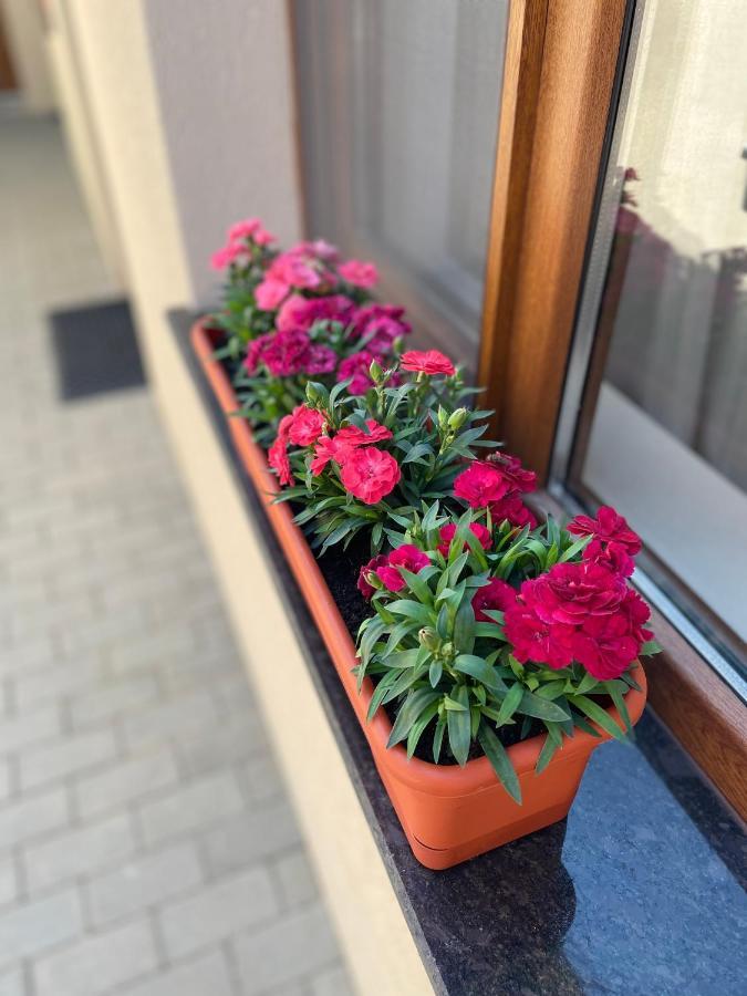Giadda Rooms Borşa Εξωτερικό φωτογραφία